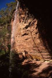 paradisefalls.jpg