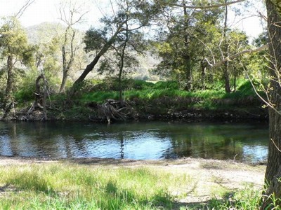 swimhole.jpg